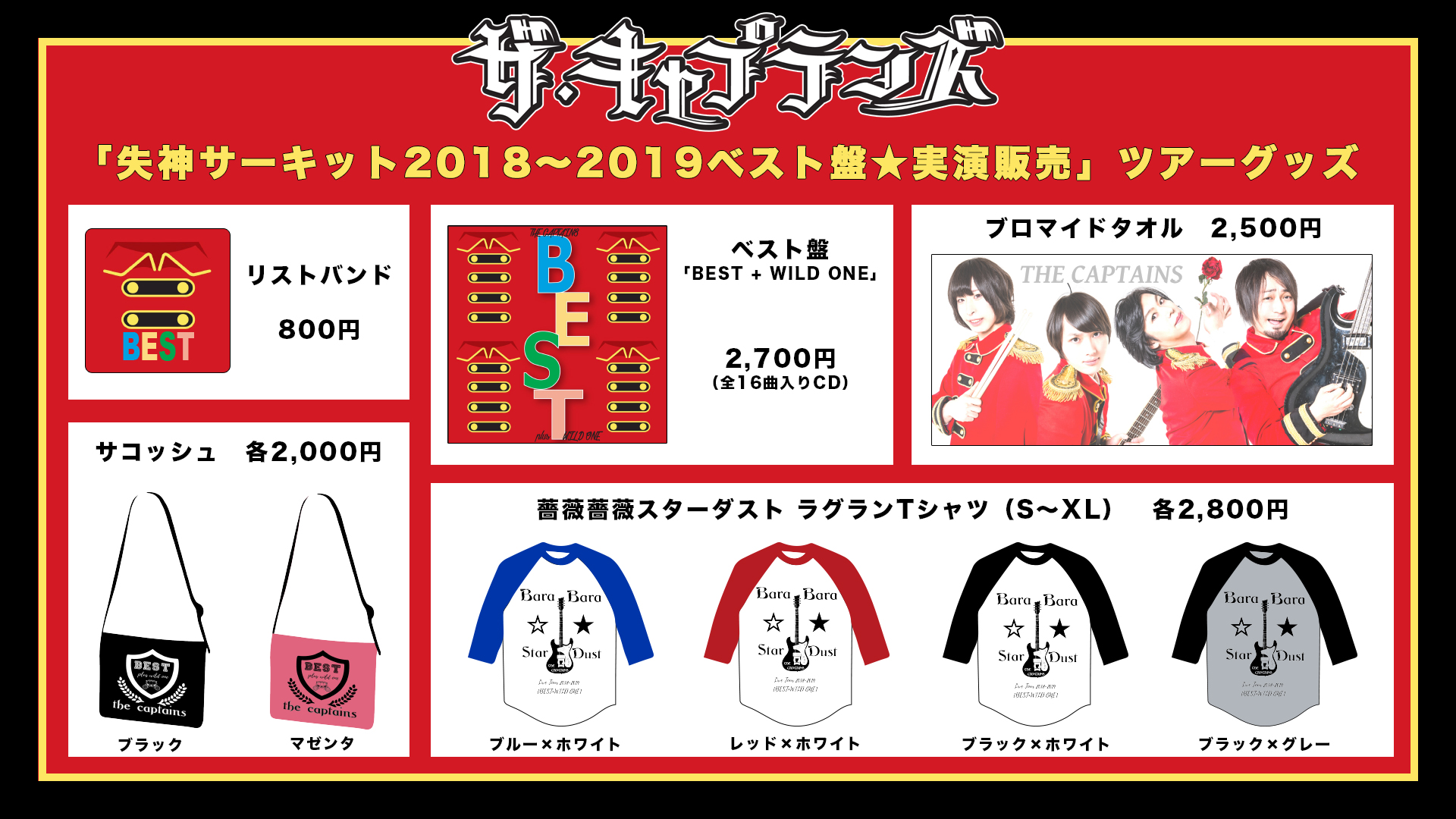 ツアーグッズ